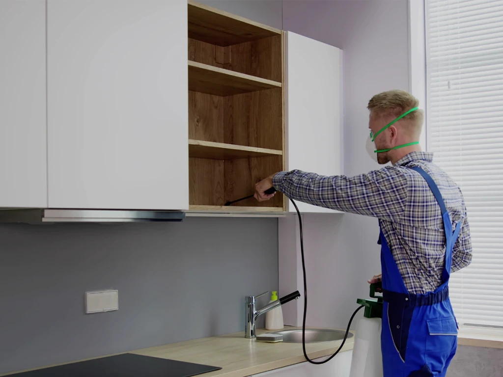 pest control worker spraying inside a cabinet