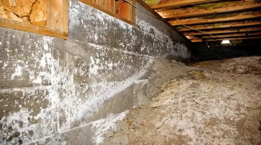 picture of a basement