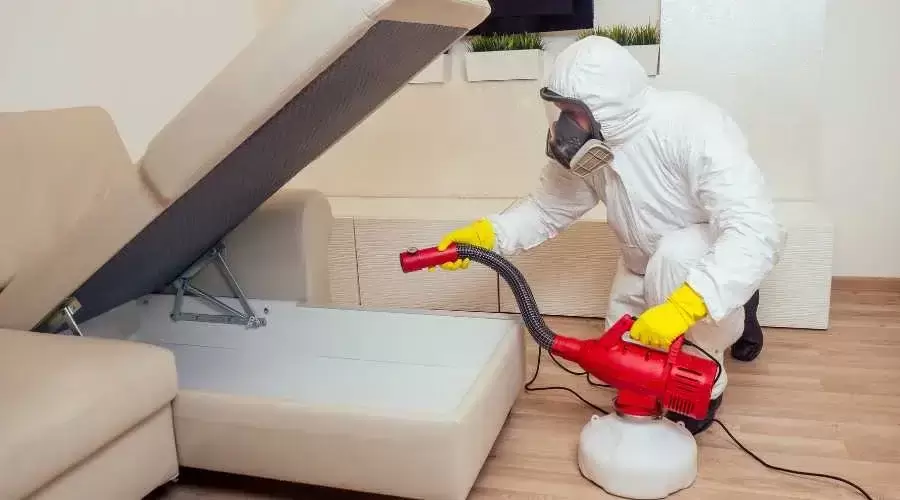 pest control worker disinfecting a sofa