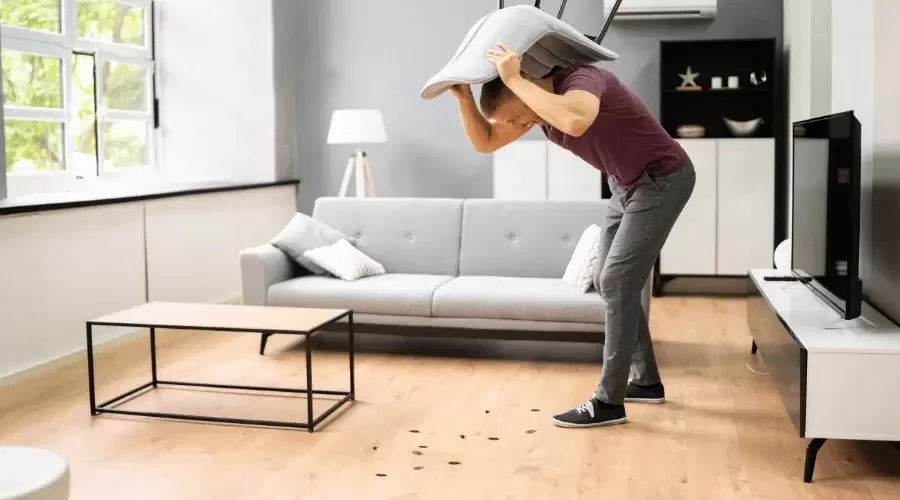 A man looking at cockroaches on the floor