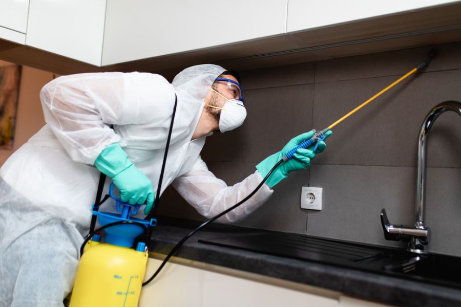 pest control worker spraying under the cabinet