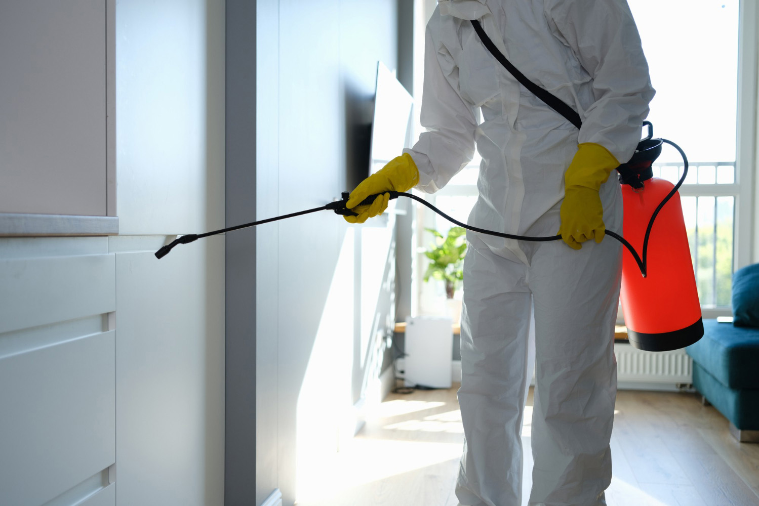 worker protective overalls gloves disinfecting apartment